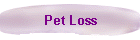 Pet Loss